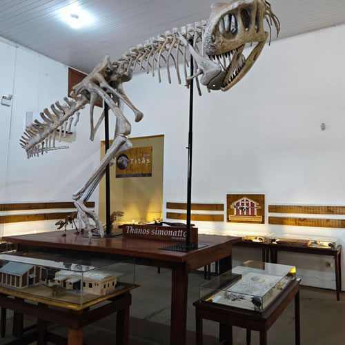 Mais de 14 mil pessoas visitaram o Museu de Paleontologia Pedro Candolo em 2023