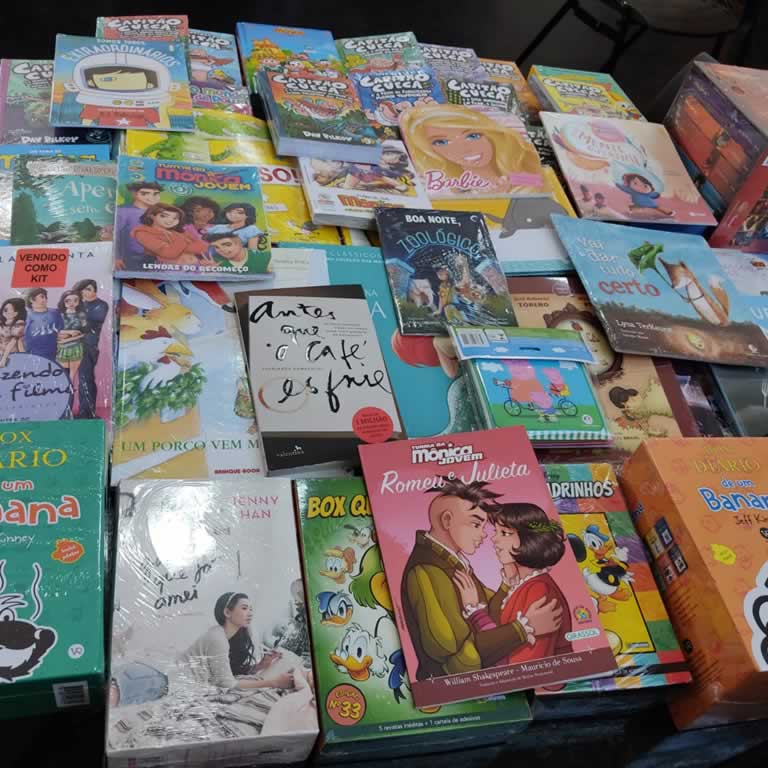 Biblioteca Municipal recebe doação de livros infantis