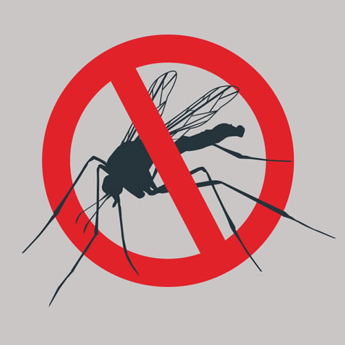 Secretaria da Saúde realizará arrastão contra a dengue