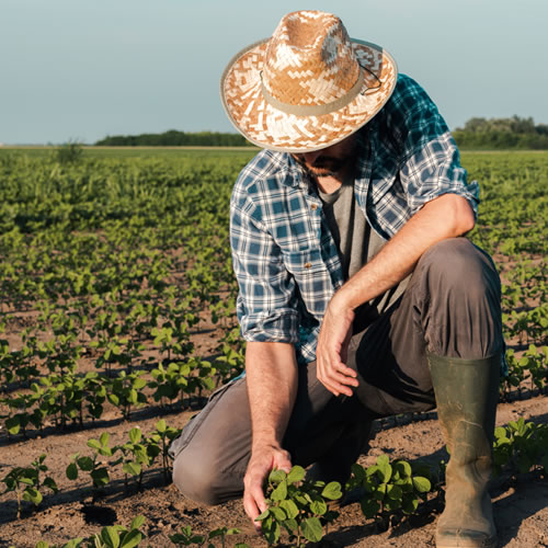 Mutirão do Cadastro Ambiental Rural