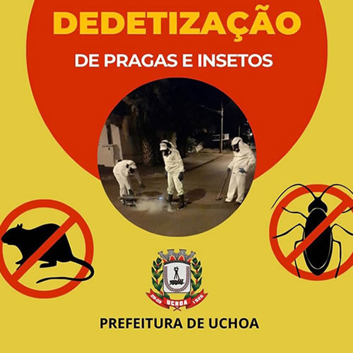 Dedetização está sendo realizada na cidade